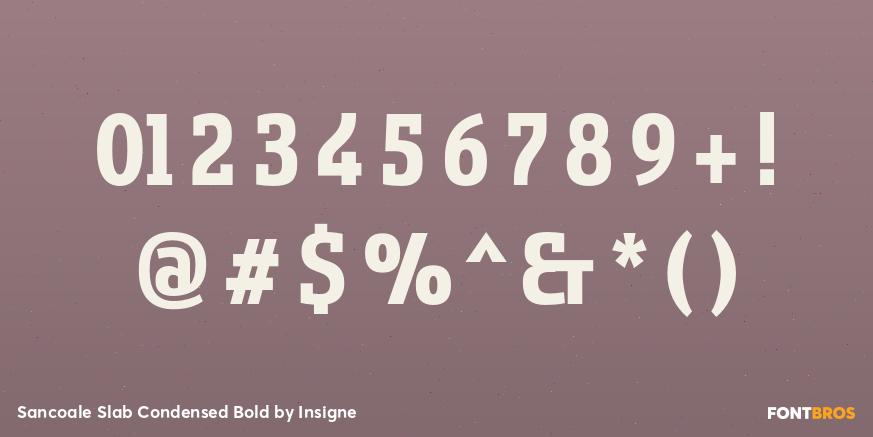 Sancoale Slab Condensed Bold Font Poster #4
