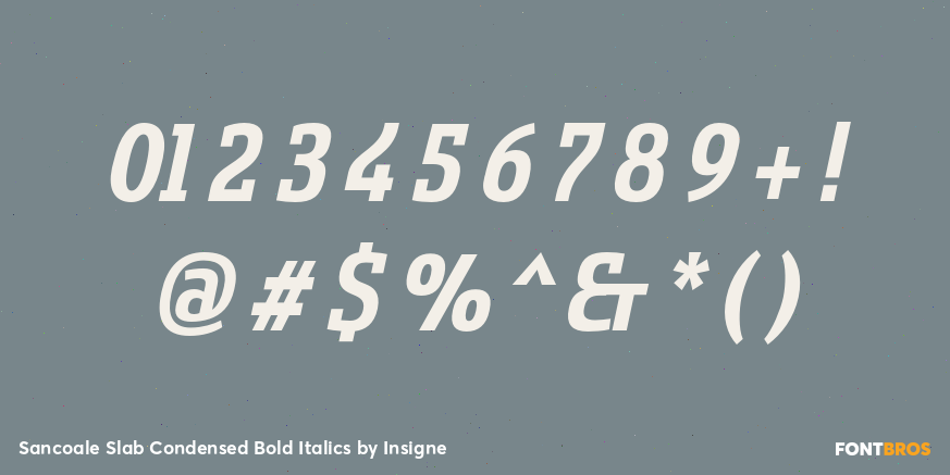 Sancoale Slab Condensed Bold Italics Font Poster #4