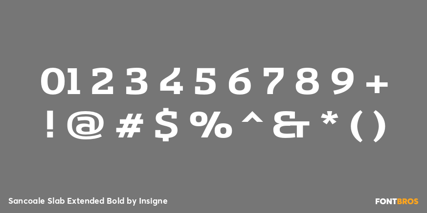 Sancoale Slab Extended Bold Font Poster #1