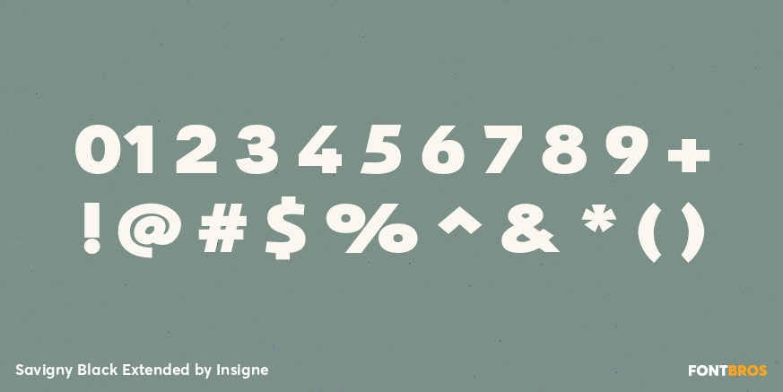 Savigny Black Extended Font Poster #1