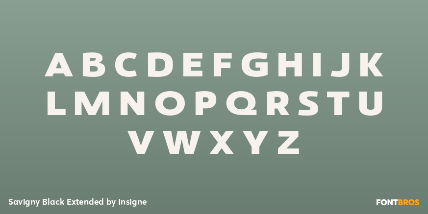 Savigny Black Extended Font Poster #1