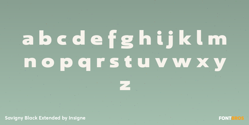 Savigny Black Extended Font Poster #1