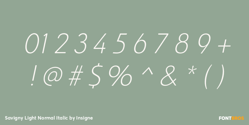 Savigny Light Normal Italic Font Poster #4
