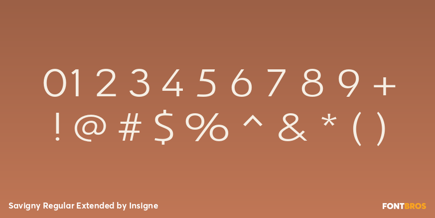 Savigny Regular Extended Font Poster #1