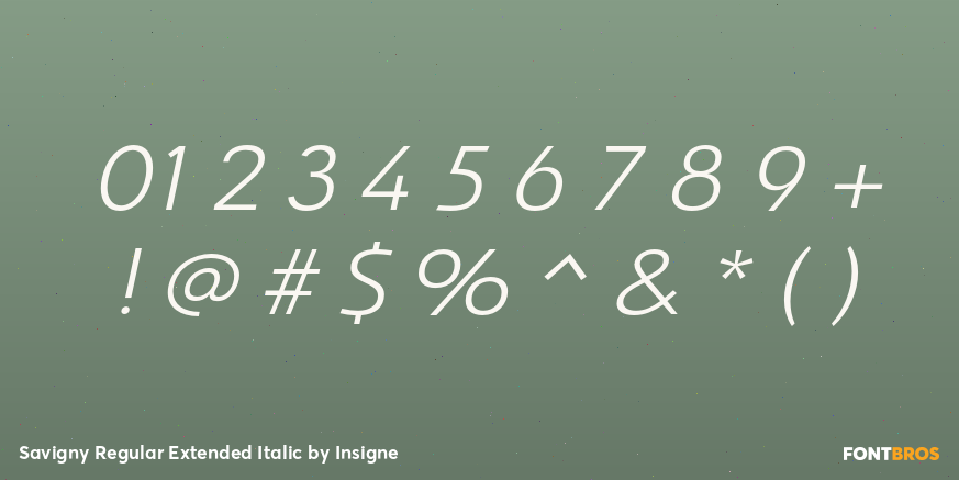 Savigny Regular Extended Italic Font Poster #4