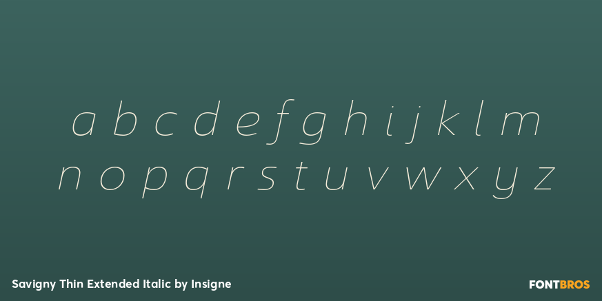 Savigny Thin Extended Italic Font Poster #3
