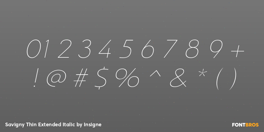 Savigny Thin Extended Italic Font Poster #4