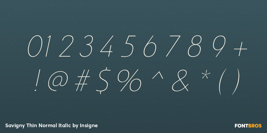 Savigny Thin Normal Italic Font Poster #4