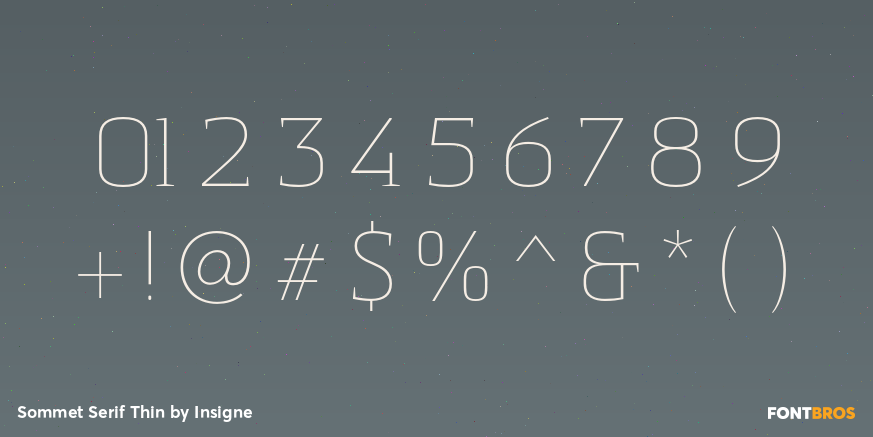 Sommet Serif Thin Font Poster #4