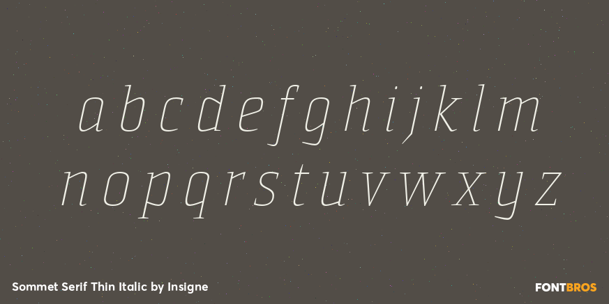 Sommet Serif Thin Italic Font Poster #3