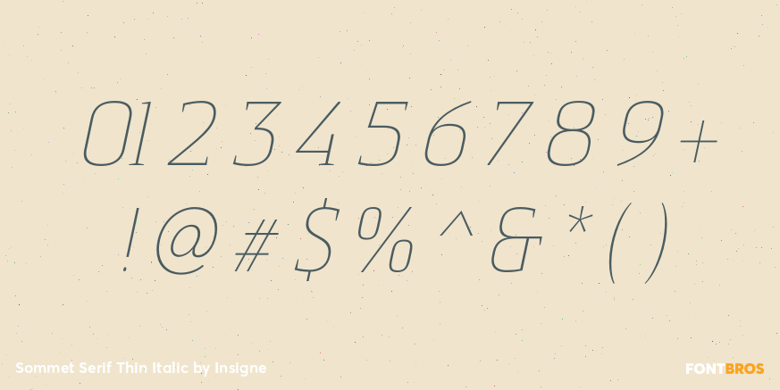 Sommet Serif Thin Italic Font Poster #4