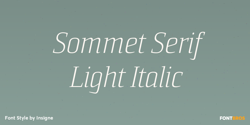 Sommet Serif Light Italic Poster