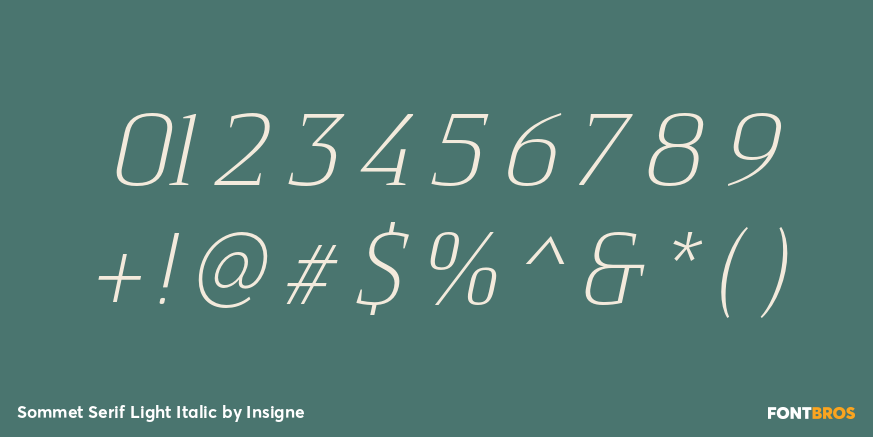 Sommet Serif Light Italic Font Poster #1