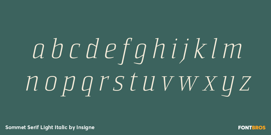 Sommet Serif Light Italic Font Poster #3