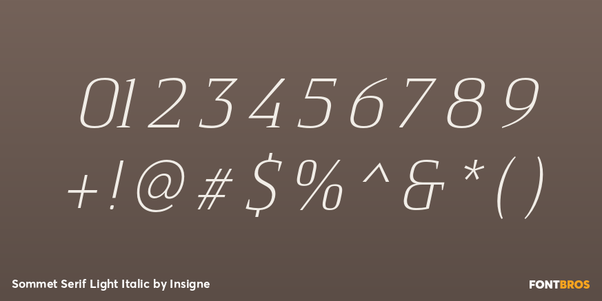 Sommet Serif Light Italic Font Poster #4