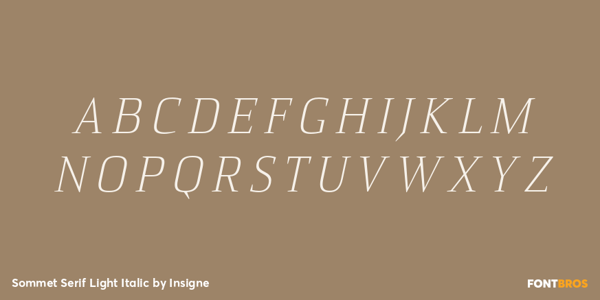 Sommet Serif Light Italic Font Poster #1