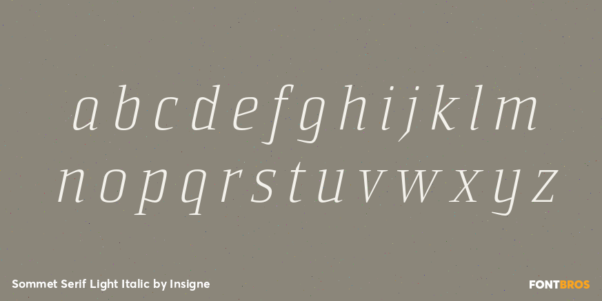 Sommet Serif Light Italic Font Poster #1
