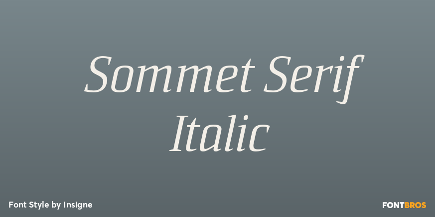 Sommet Serif Italic Poster