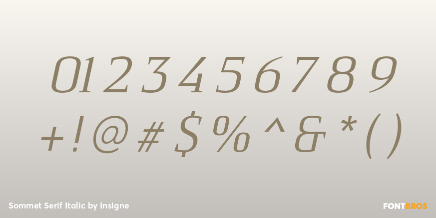 Sommet Serif Italic Font Poster #1
