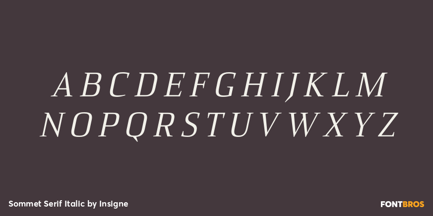 Sommet Serif Italic Font Poster #1