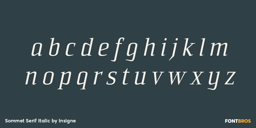 Sommet Serif Italic Font Poster #1