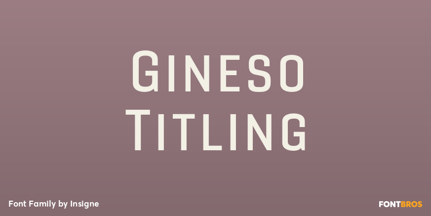 Gineso Titling Font Poster