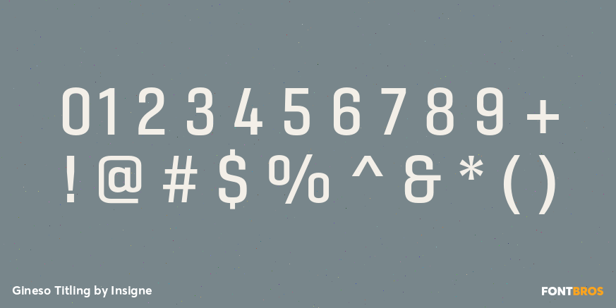 Gineso Titling Font Poster #1