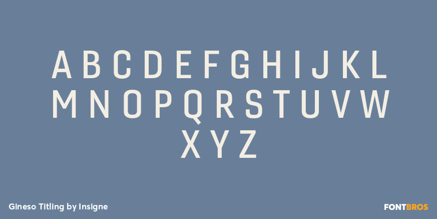 Gineso Titling Font Poster #1