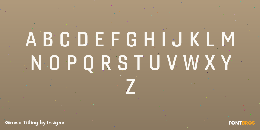 Gineso Titling Font Poster #1