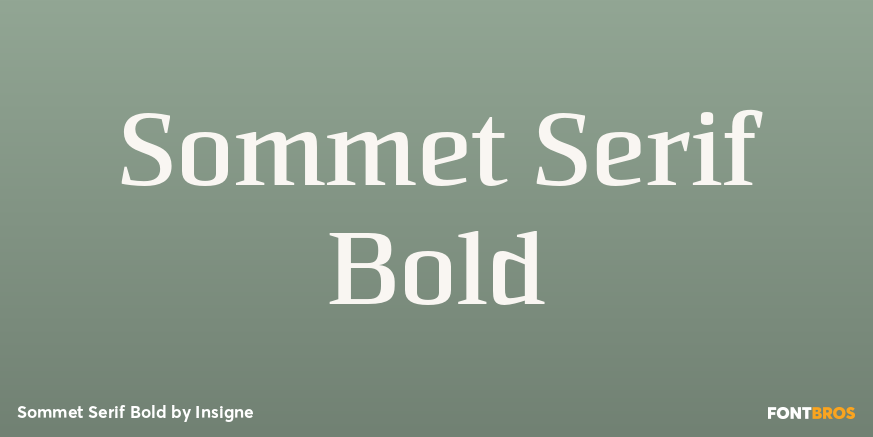 Sommet Serif Bold Font Poster #1