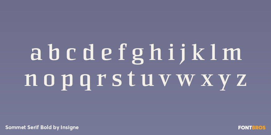 Sommet Serif Bold Font Poster #3