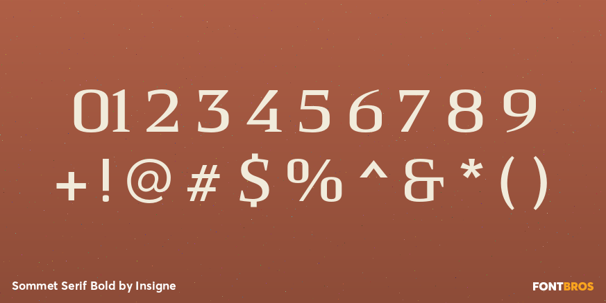 Sommet Serif Bold Font Poster #4