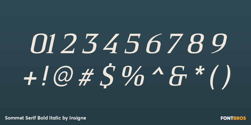 Sommet Serif Bold Italic Font Poster #1
