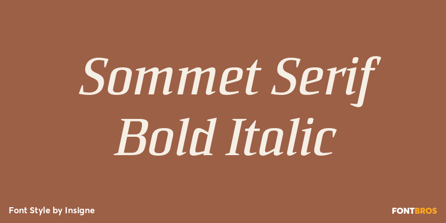 Sommet Serif Bold Italic Font Poster #1