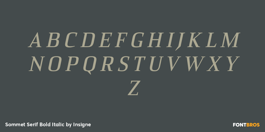 Sommet Serif Bold Italic Font Poster #2