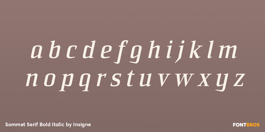 Sommet Serif Bold Italic Font Poster #3