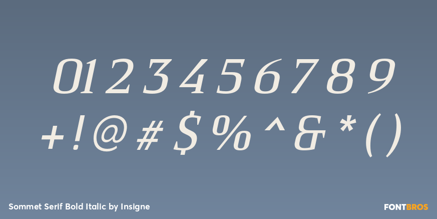 Sommet Serif Bold Italic Font Poster #4