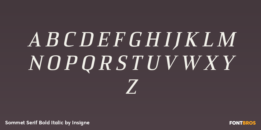 Sommet Serif Bold Italic Font Poster #1