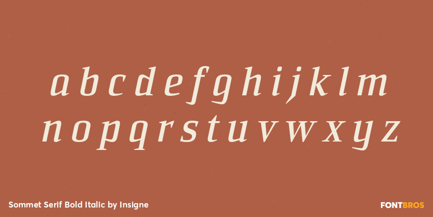 Sommet Serif Bold Italic Font Poster #1