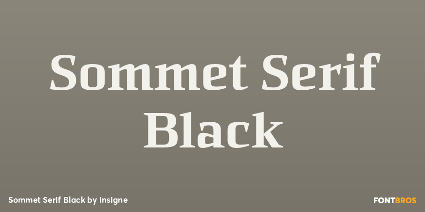 Sommet Serif Black Font Poster #1