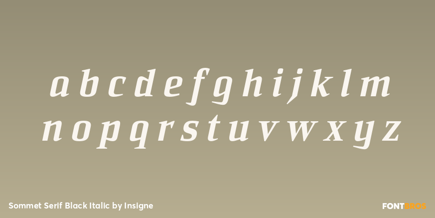 Sommet Serif Black Italic Font Poster #3