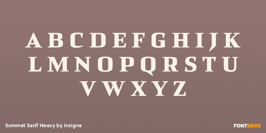 Sommet Serif Heavy Font Poster #2