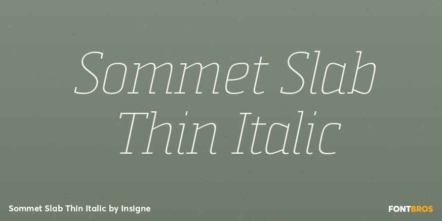 Sommet Slab Thin Italic Font Poster #1