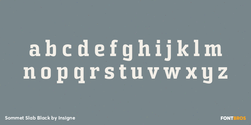 Sommet Slab Black Font Poster #3