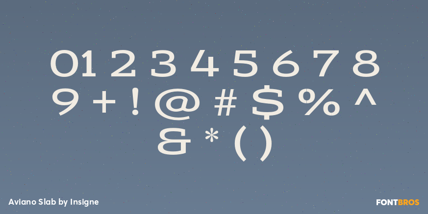 Aviano Slab Font Poster #1