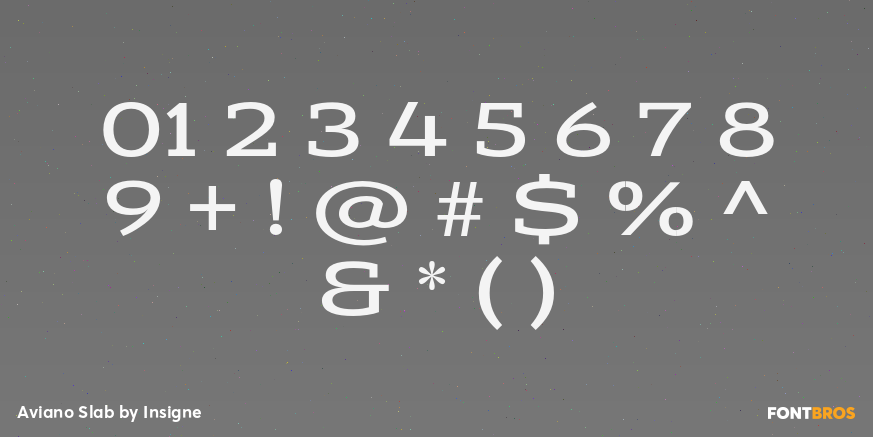 Aviano Slab Font Poster #4