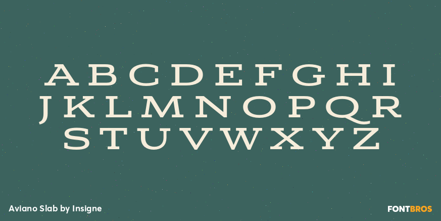 Aviano Slab Font Poster #1