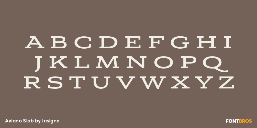 Aviano Slab Font Poster #1