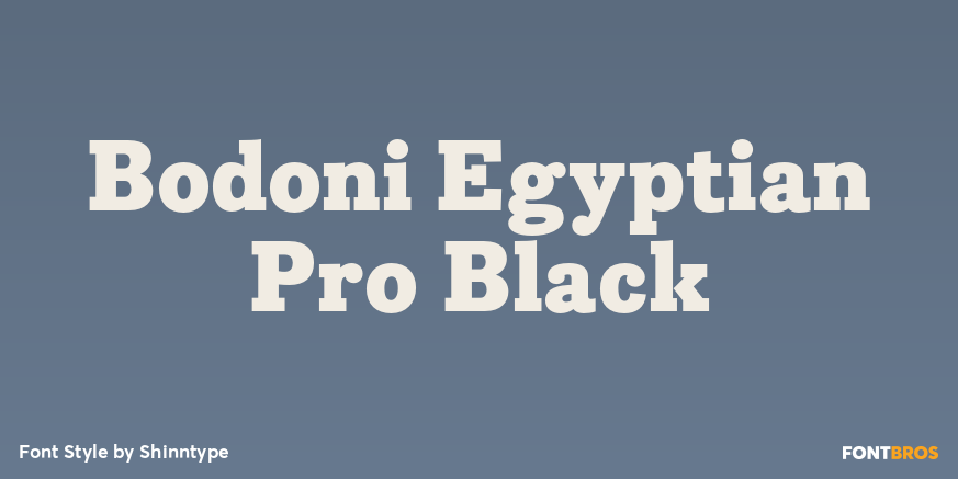 Bodoni Egyptian Pro Black Font Poster #1