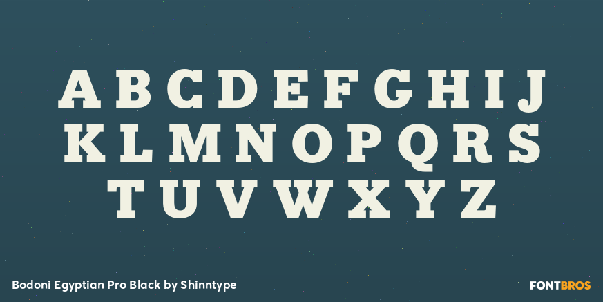 Bodoni Egyptian Pro Black Font Poster #1